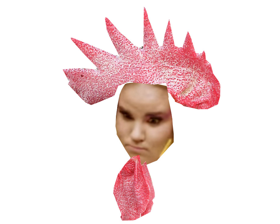 barzilai chienne risitas vache oeuf eurovision poule coq politic netta juif grosse chance