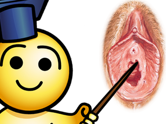 vulve risitas ehoui flavio