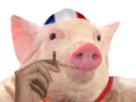 cochon-fn-qlf-alkapote-risitas-france-porc-cigarette-francais-patriote-alk-validaient