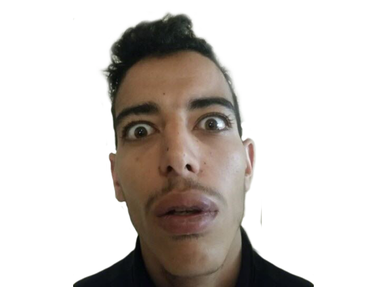 arabe psychatrique levres ouled rebeu sevey aissa babine mehrez mahboul fou risitas