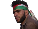palestinien-gaza-bandana-other