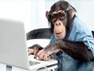 ordinateur-marche-monkey-bitcoin-de-computer-risitas-crypto-singe
