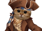 other-chat-pirate-roux