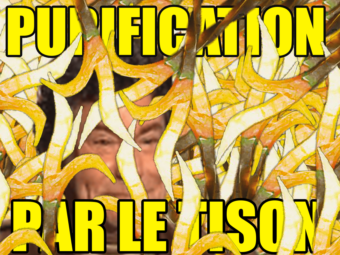 delire autiste purification tison risitas