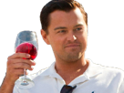 loup-dicaprio-wall-street-other-vin