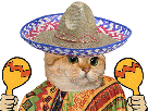 maracas-chat-maredioa-other-mexique