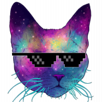 lunettes-other-cat-galactic