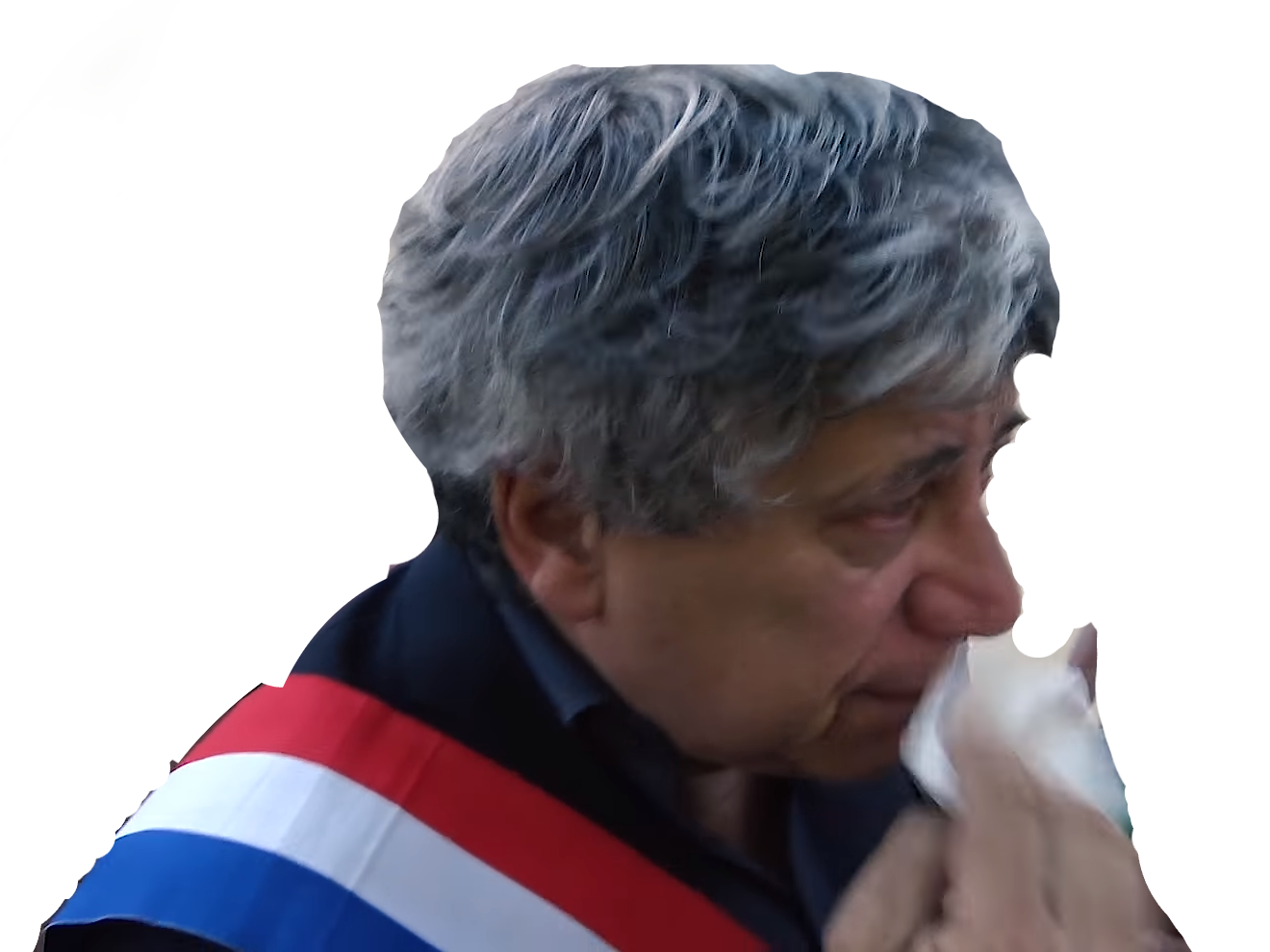 france politic insoumise snif ouin coquerel