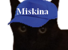 miskina-other-shaona-chat