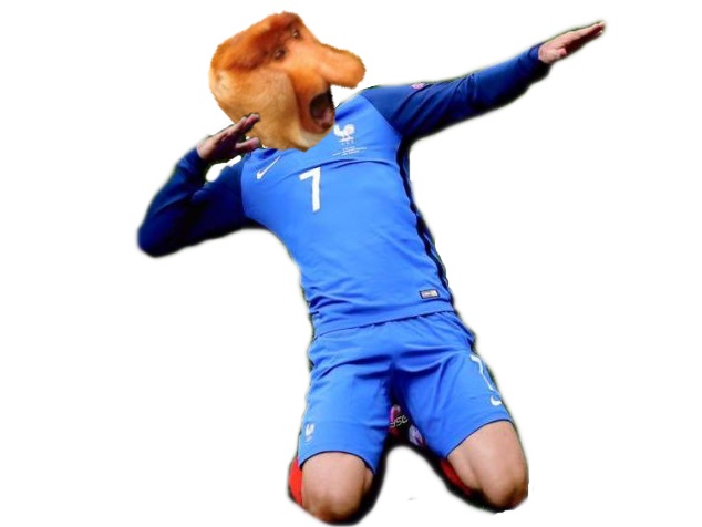 singe edf hubert france nasique risitas