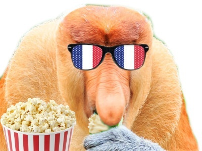 nasique risitas singe hubert france