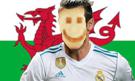 toast-bale-galles-sticker-risitas-real-foot