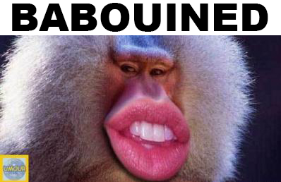 babouined babouin risitas singe