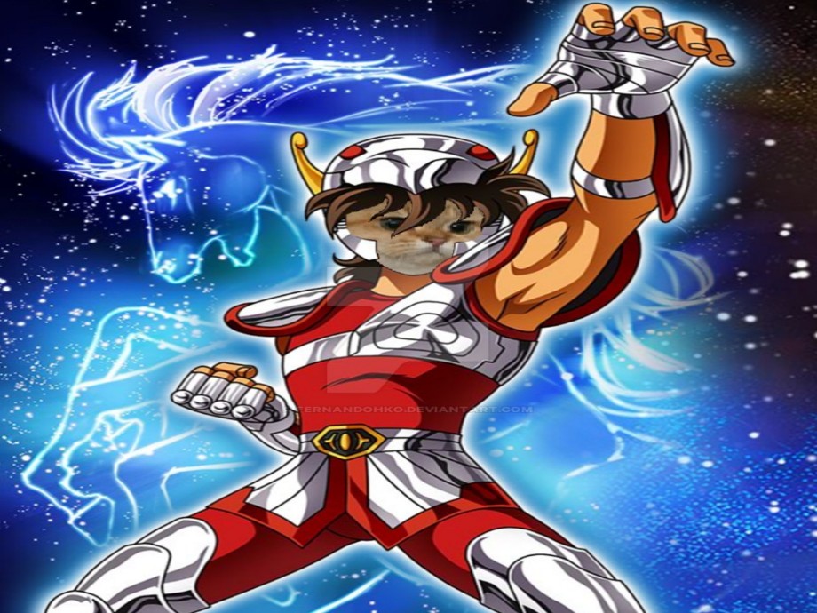 seiya alchimient chat roux