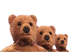 famille-ours-nounours