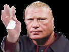 les rage brock no lesnar dechets risitas