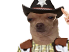 chien-blase-etoile-western-dog-sheriff-other-marron-chapeau-cowboy