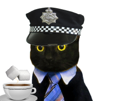 policier-chat-risitas-gilbert