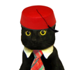 arabe-other-chat-chapeau