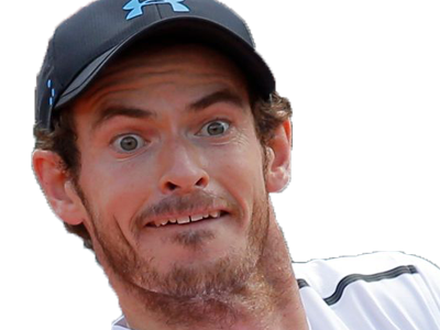 garros roland wimbledon risitas murray open tennis