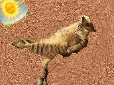 other choco chat soleil