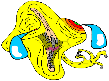 issou jvc gange difforme jpp chancla bordel aya immondice chicots tordu