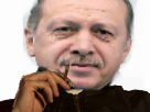 erdogan alkpote politic pupute