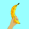 banana-eplucher-cactus-other
