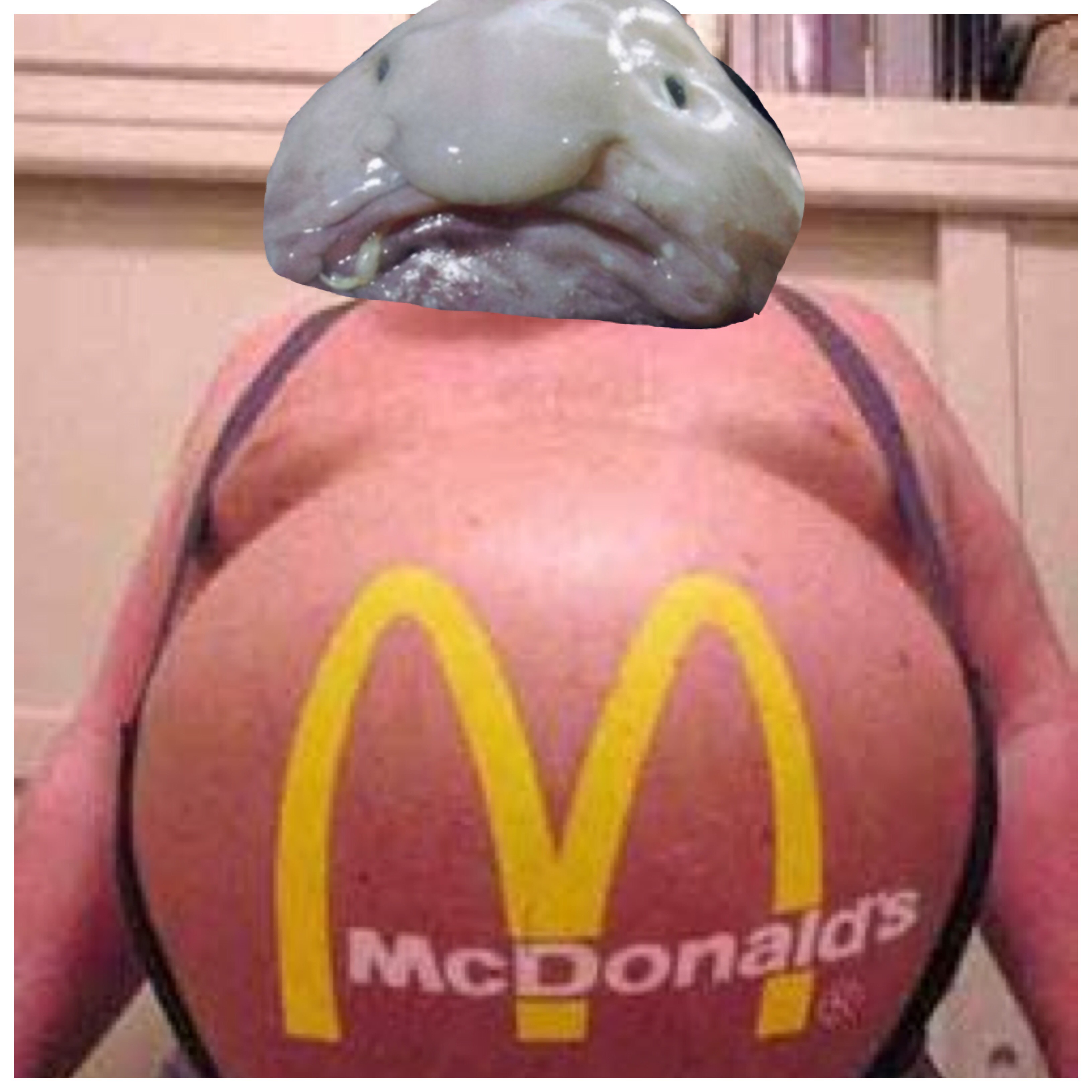 gros risitas mdr moche