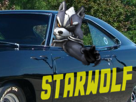 charger-starfox-rt-m-melee-ssbb-1969-tinnova-brawl-starwolf-odonnell-project-ssbm-voiture-wolf