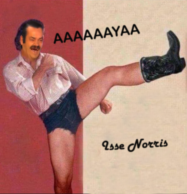 chuck norris fight risitas isse