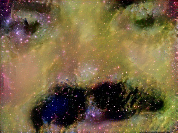 risitas art gaz meduleuse