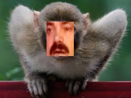 risitas visage singe blase