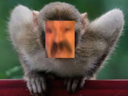 visage zoom singe risitas