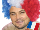 edf-france-dicaprio-other