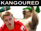 kangourou-australie-france-griezmann-football-foot-australied-kangoured