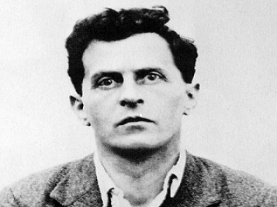 sur wittgenstein perplexe