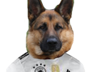equipe-foot-berger-mexique-animal-football-allemand-mexicain-risitas-chien-mondiale-allemagne-ballon