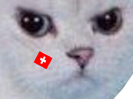 chapeau rage suisse monde chat football blanc other colere enerve cdm zoom foot du coupe