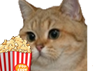 risitas-chat-popcorn-cinema-sodium