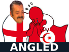 tunisie-angleterre-angleterred-angled-risitas