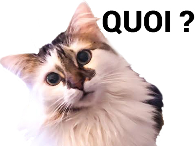 what risitas chat quoi