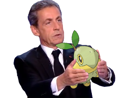 pokemon risitas sarko tortipouss