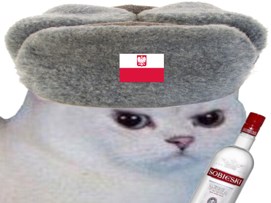other pologne football monde chapka colere du rage enerve polonais vodka coupe chapeau cdm foot chat blanc