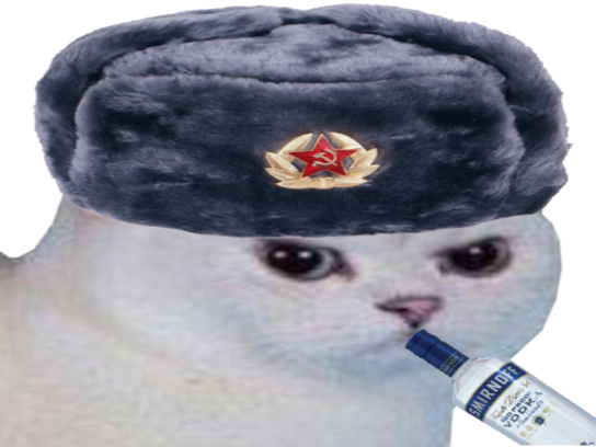 blanc monde football du chat risitas chapka rage cdm russie boire enerve coupe chapeau foot vodka russe colere