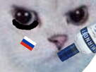 other-rage-russie-vodka-chat-blanc-football-cdm-monde-coupe-zoom-foot-enerve-russe-du-colere