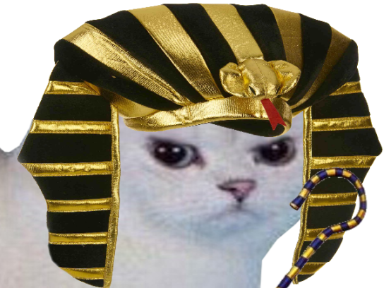 rage cdm colere blanc pharaon football chat monde egyptien chapeau foot egypte coupe risitas du enerve
