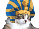 pharaon-chat-other-egypte