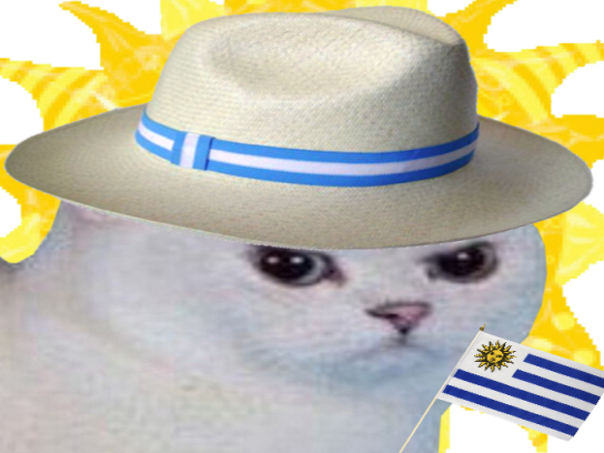 coupe soleil chat rage uruguay colere chapeau blanc cdm foot enerve monde du drapeau football