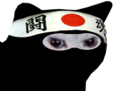 foot-ninja-du-coupe-risitas-japon-chat-football-monde-enerve-japonais-rage-cdm-bandeau-colere-blanc